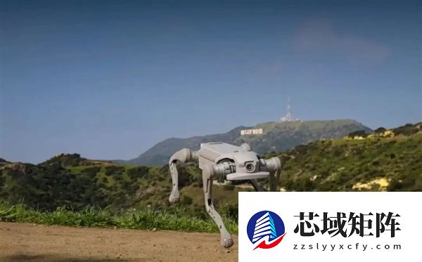 贾跃亭“造人”上热搜 机器人1.7万开卖 已拿下1211台订单