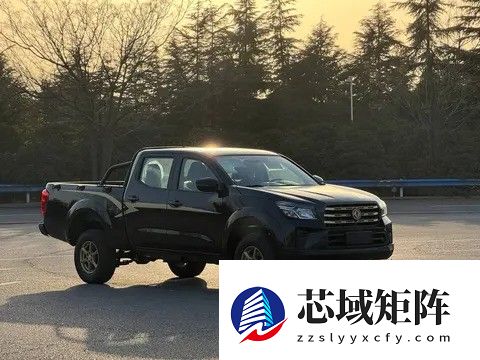 新款金标锐骐皮卡实拍曝光：黄金外观+心脏级动力升级