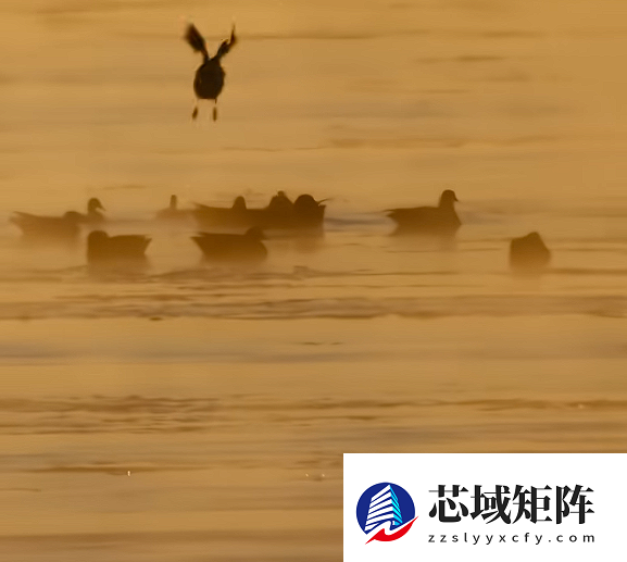 奇观出现！内蒙古上演“水煮黄河”：宛如仙境