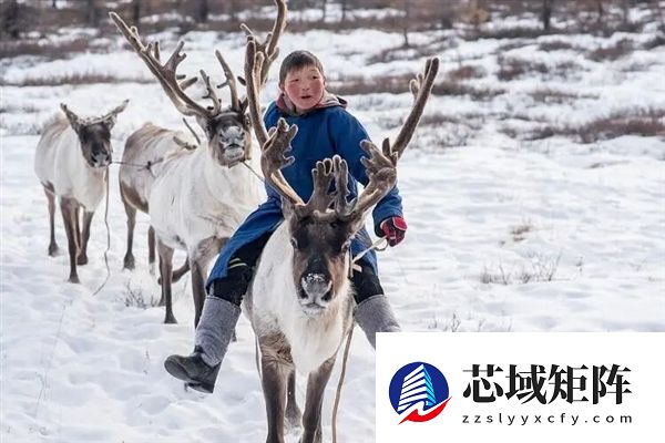 为什么马、驴、骆驼都可以用来骑乘 唯独不见有人驯化鹿来骑