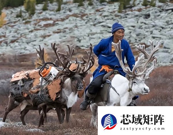 为什么马、驴、骆驼都可以用来骑乘 唯独不见有人驯化鹿来骑