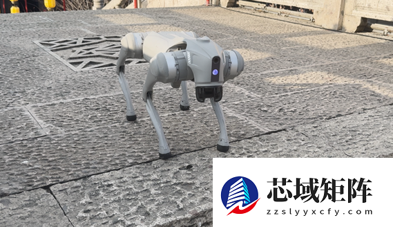 王兴兴谈宇树机器狗成全球销冠：大家认可度高 成本有优势