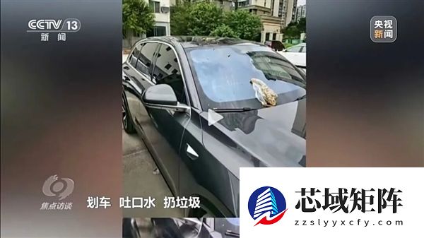 雷军转发焦点访谈报道：黑产攻击已蔓延至普通车主！辱骂、划车、吐口水、扔垃圾