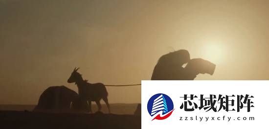 你看没！爆火大剧《太平年》现吃人、牵羊礼等场面 导演回应让网友沉默