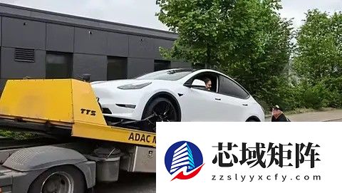 特斯拉多款车型二手车评估排名靠后