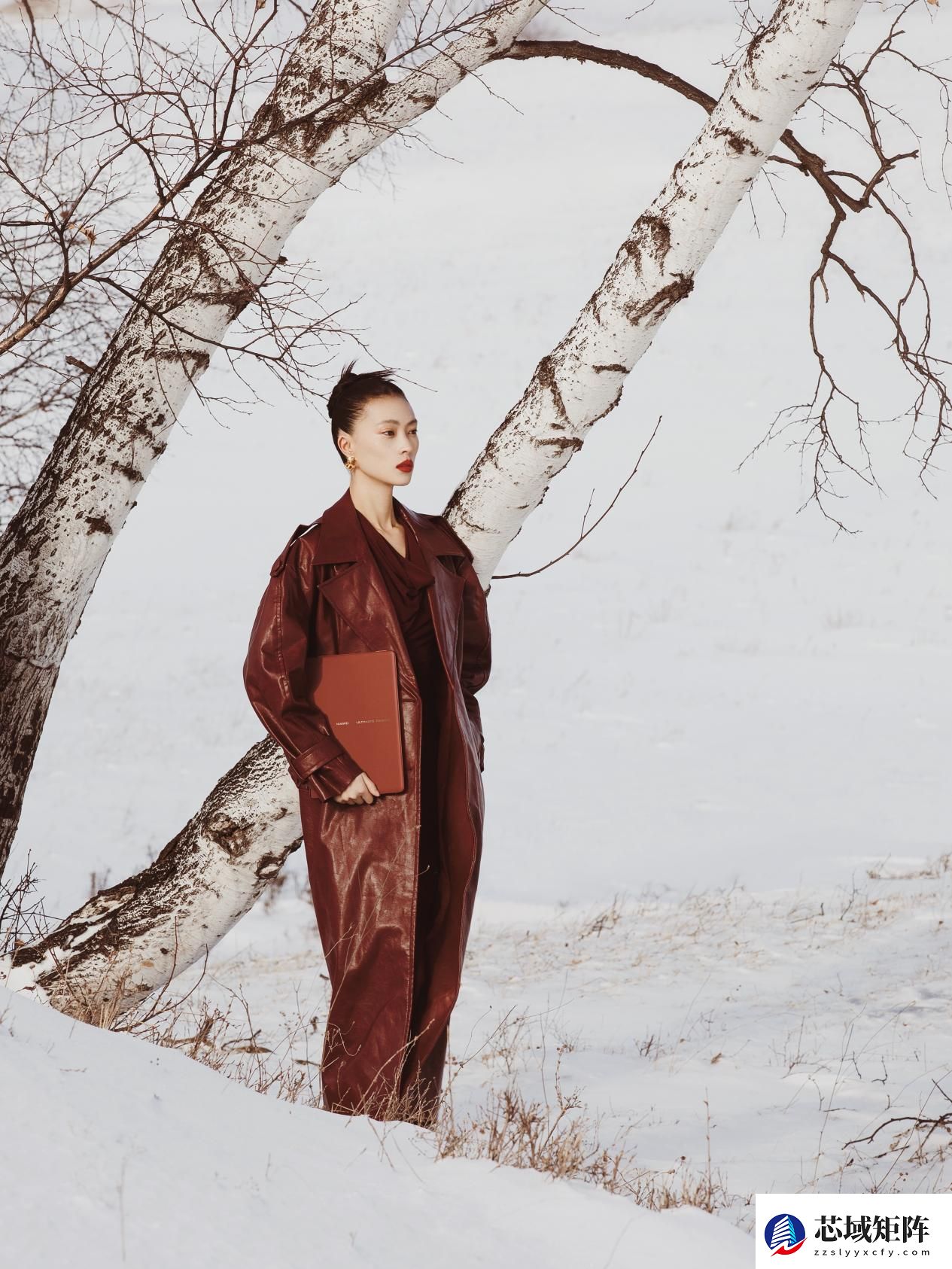 瑞红映雪，科技成诗：华为MateBook Fold非凡大师年末美学与实力双绝