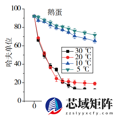 营养丰富的鹅蛋 为什么很少有人吃 也很少有卖的？