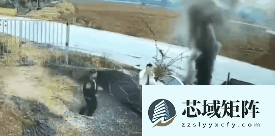 着火了乘客不会开门 怪车企乱学特斯拉吗