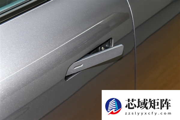 着火了乘客不会开门 怪车企乱学特斯拉吗