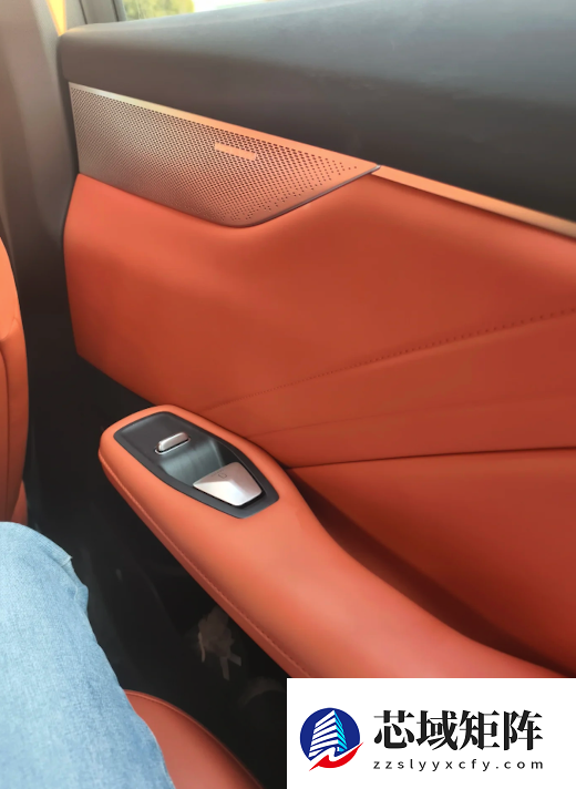 着火了乘客不会开门 怪车企乱学特斯拉吗