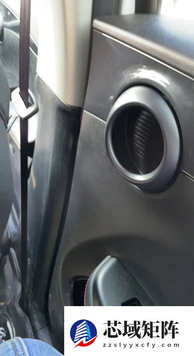 着火了乘客不会开门 怪车企乱学特斯拉吗