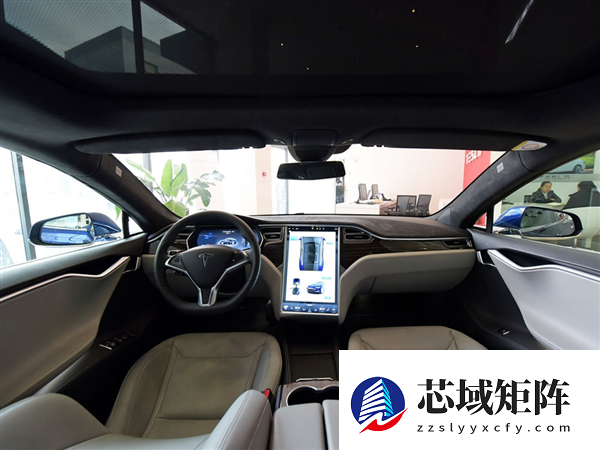 着火了乘客不会开门 怪车企乱学特斯拉吗