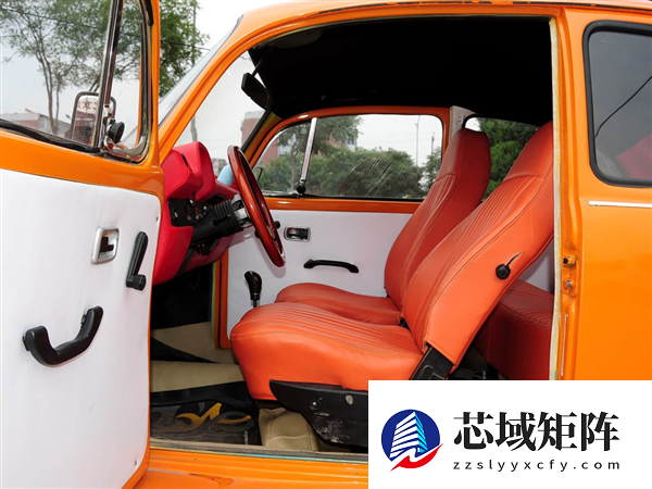 着火了乘客不会开门 怪车企乱学特斯拉吗