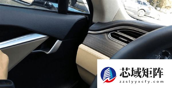 着火了乘客不会开门 怪车企乱学特斯拉吗