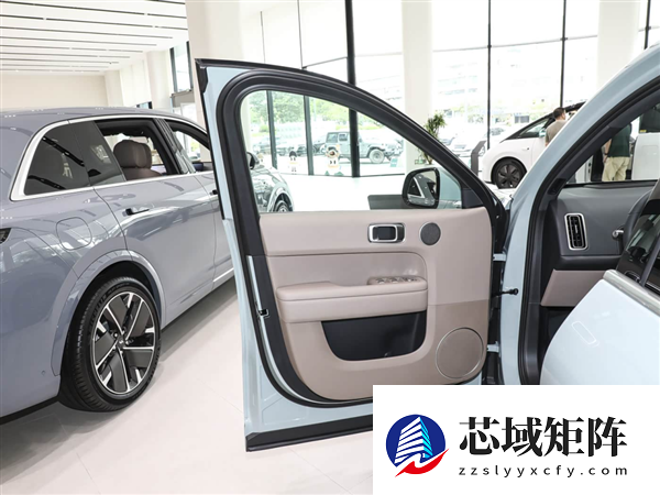 着火了乘客不会开门 怪车企乱学特斯拉吗