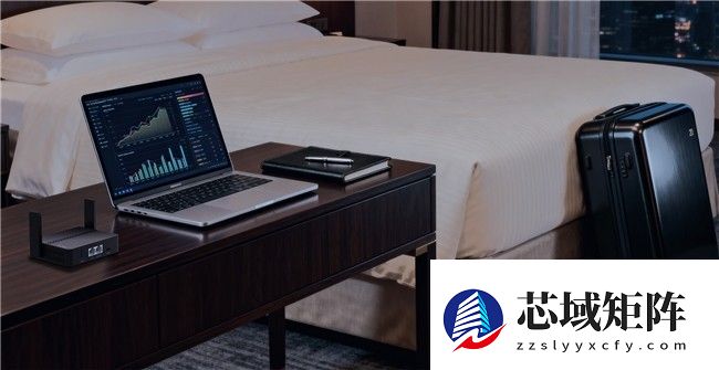 低成本私有云+跨平台联机？从游戏到远程访问，这款工具都能搞定