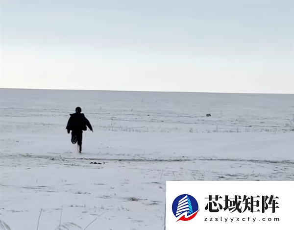 小狐狸叼走运动相机 第一视角记录挖坑埋赃全程