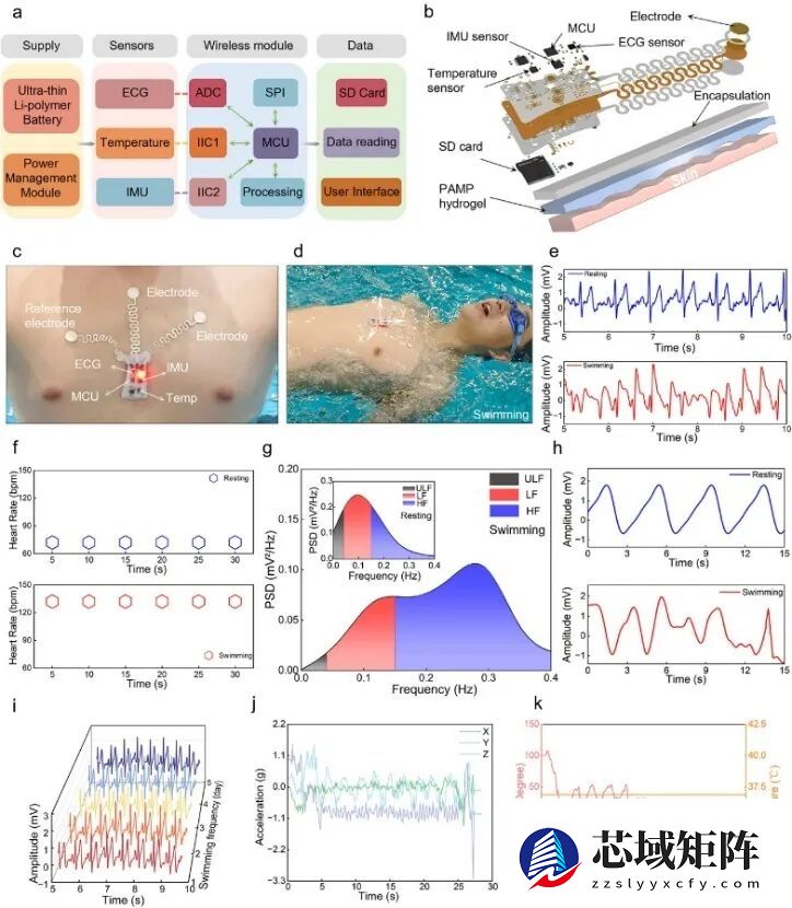 浙大研发出水下创可贴：仅需10秒快速强黏附 鲶鱼都能粘