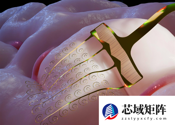 我国研制新型可拉伸柔性电极 破解脑机接口核心难题