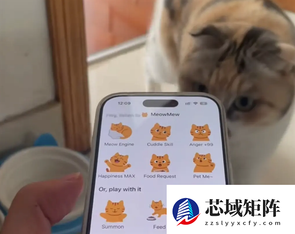 两人用千元做出“猫咪召唤器”：登顶付费榜后用户猛增500倍