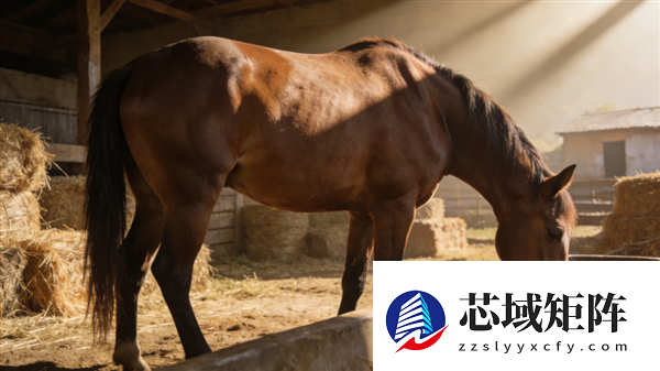 2026支付宝集福正式开启！今年扫马就能得：官方发布扫描图了