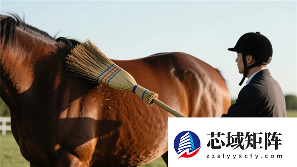 2026支付宝集福正式开启！今年扫马就能得：官方发布扫描图了