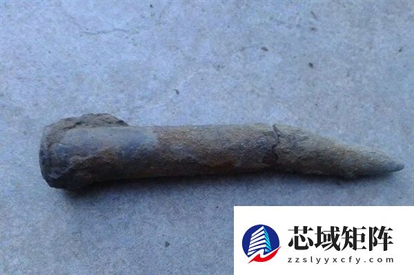 法国一男子将未爆炮弹塞入直肠 医院急召拆弹专家处理