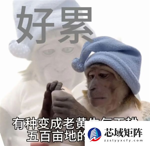 AI提高了我的生产力 但我更累了