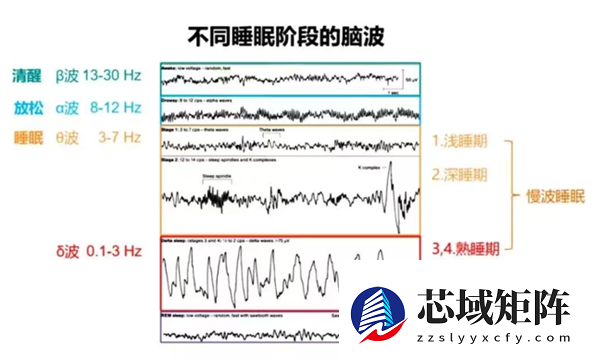 一个能拯救大脑的“邪修恢复术” 只需10分钟！