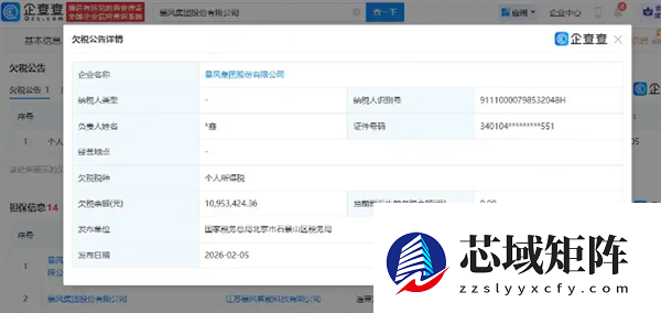 暴风集团欠税1095万再曝债务危机 未履行债务已超8亿