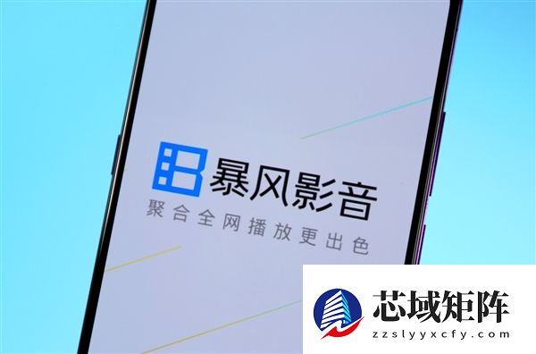 暴风集团欠税1095万再曝债务危机 未履行债务已超8亿