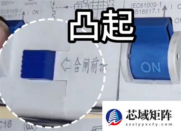 跳闸后千万别直接上手 那个蓝色按钮才是保命符