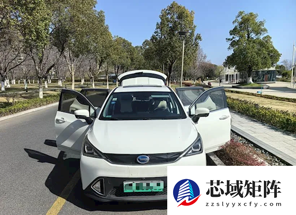 第一代新能源车主：说换电池贵都是扯 有本事把电池开坏试试