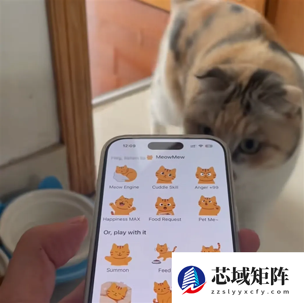 “猫咪召唤器”登顶付费榜 开发团队仅两人 成本1000多