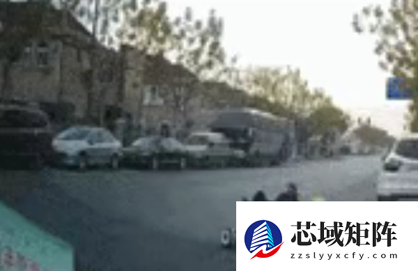 无视过往车辆！男子骑平衡车任性横穿路口被撞负全责