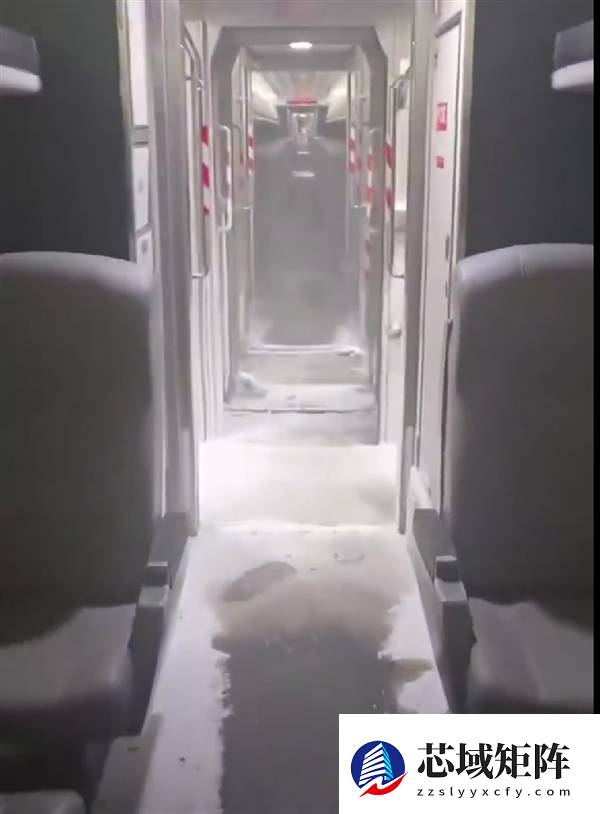 纽约暴雪肆虐！列车车厢被冰雪封冻 网友：太像雪国列车了