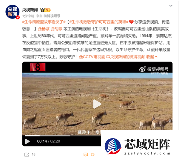 改编自可可西里巡山队！央视向《生命树》原型故事致敬