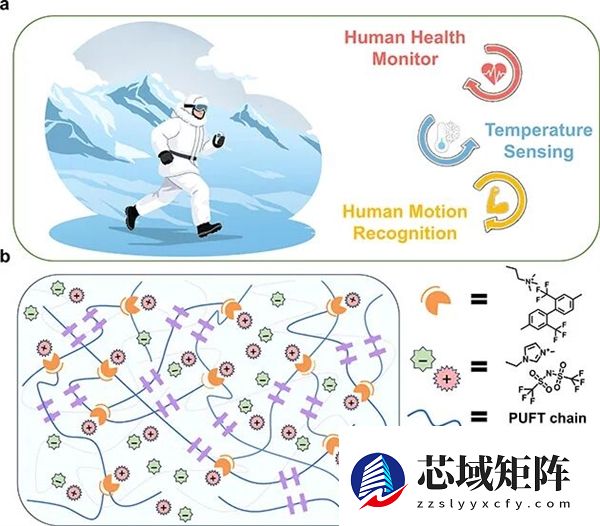 中科院造抗冻离子皮肤：-40℃仍柔韧还能自我修复