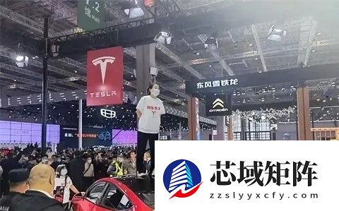 特斯拉诉车顶维权当事人名誉权纠纷案进入强制执行阶段