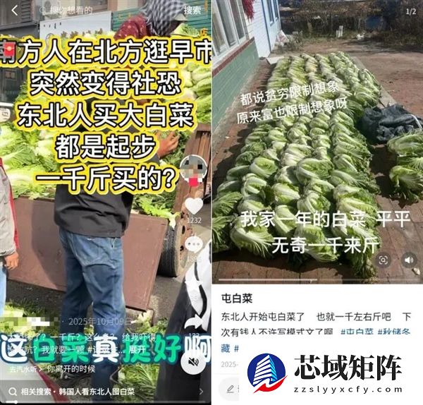 真的想问：一到冬天北方人囤几百斤白菜 真能吃完吗