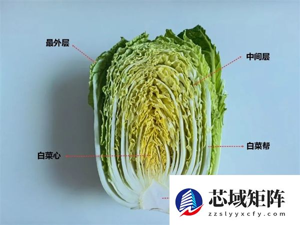 真的想问：一到冬天北方人囤几百斤白菜 真能吃完吗