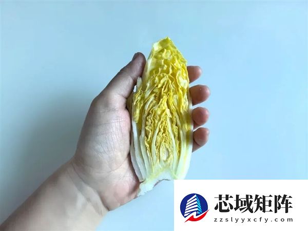 真的想问：一到冬天北方人囤几百斤白菜 真能吃完吗