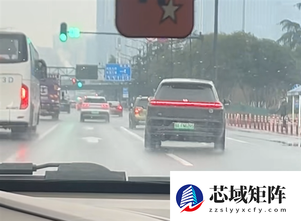 一新能源车蛇形走位遭举报！网友一对账发现是惯犯 刚被交警处罚过