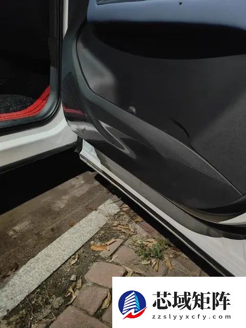 极氪001加装车门防踢垫实测：小巧实用但细节待考