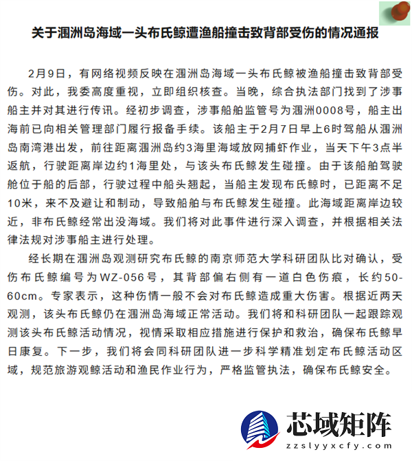 曝网红鲸鱼“刀疤哥”被一渔船高速撞击 官方回应：将依法处理