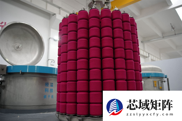 化学品耗用量减少73%！国际领先无水染色技术在石河子投产