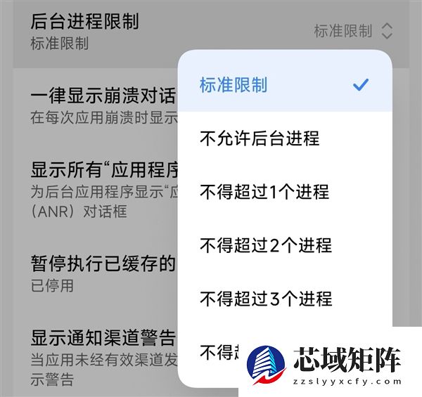 手机开发者模式怎么开启 开启后普通用户能做什么：一文看明白