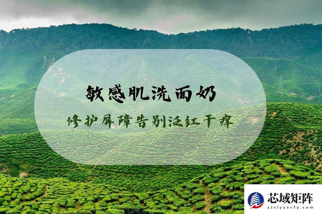 2025必入的好用洗面奶，深层清洁同时滋养美白，通勤党日常护肤超合适