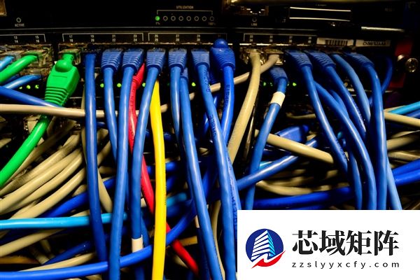 最低每月几十元！我国2/3城市达千兆宽带标准 去年家庭户均553.4Mbps