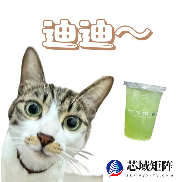 库迪刚放弃9.9 就被华莱士偷家了